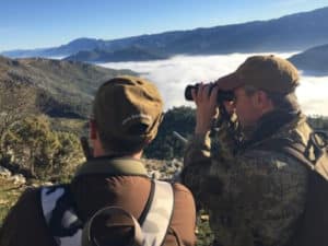 Cull Hunt in Cazorla with Iberhunting 