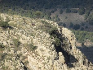 Sierra Nevada Ibex hunt report with Iberhunting 