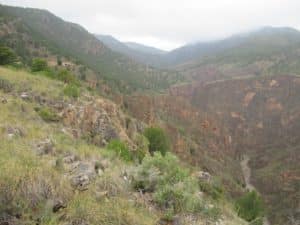 Sierra Nevada Ibex hunt report with Iberhunting 