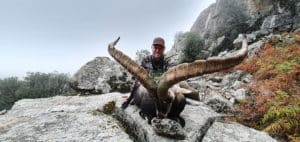 Gredos Ibex hunt in Spain