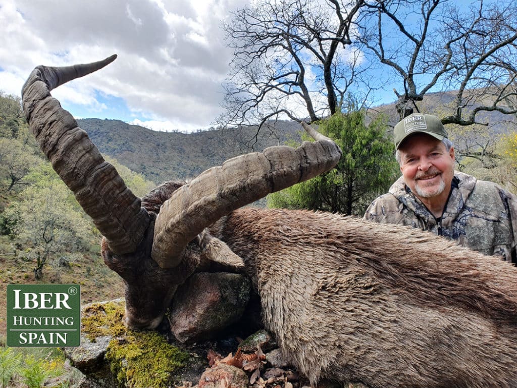 Hunting Gredos Ibex Iberhunting