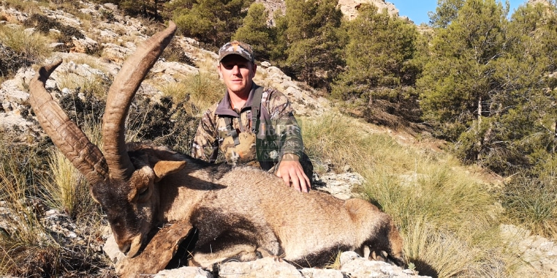 Hunting Sierra Nevada Ibex with Iberhunting Spain