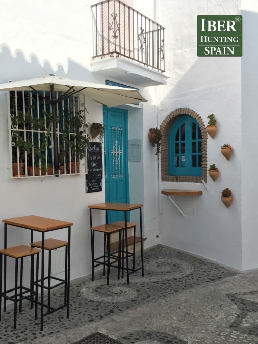 Tourism Ronda Ibex-Andalusian White Towns-Iberhunting Spain (14)