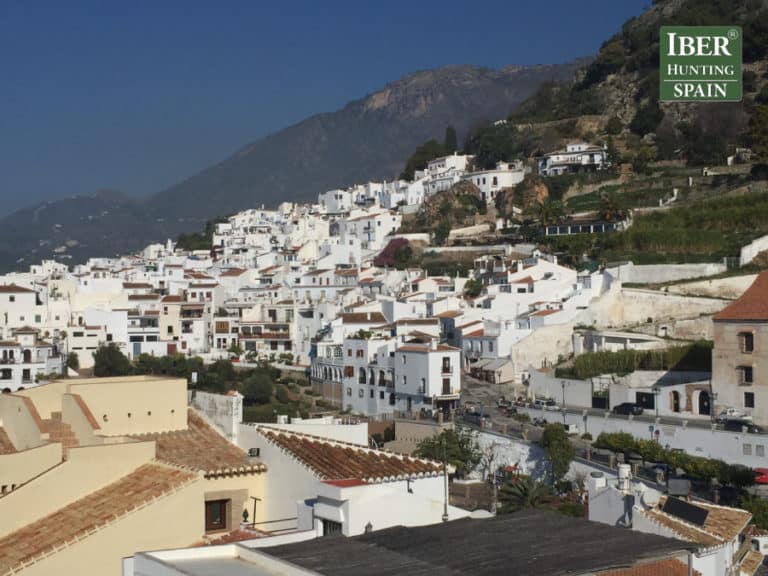 Tourism Ronda Ibex-Andalusian White Towns-Iberhunting Spain (2)