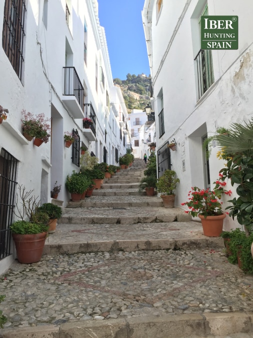Tourism Ronda Ibex-Andalusian White Towns-Iberhunting Spain (5)