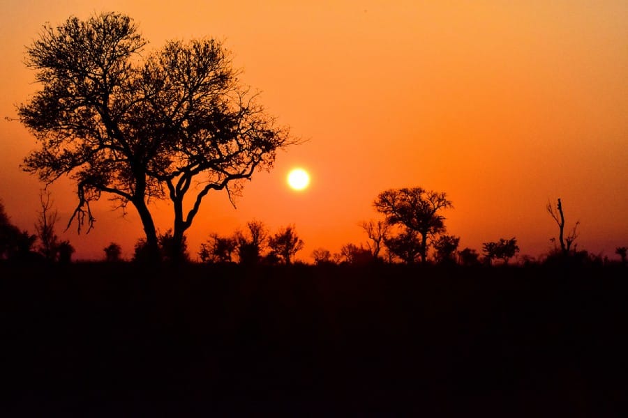 Landscape of the sunset in South Africa