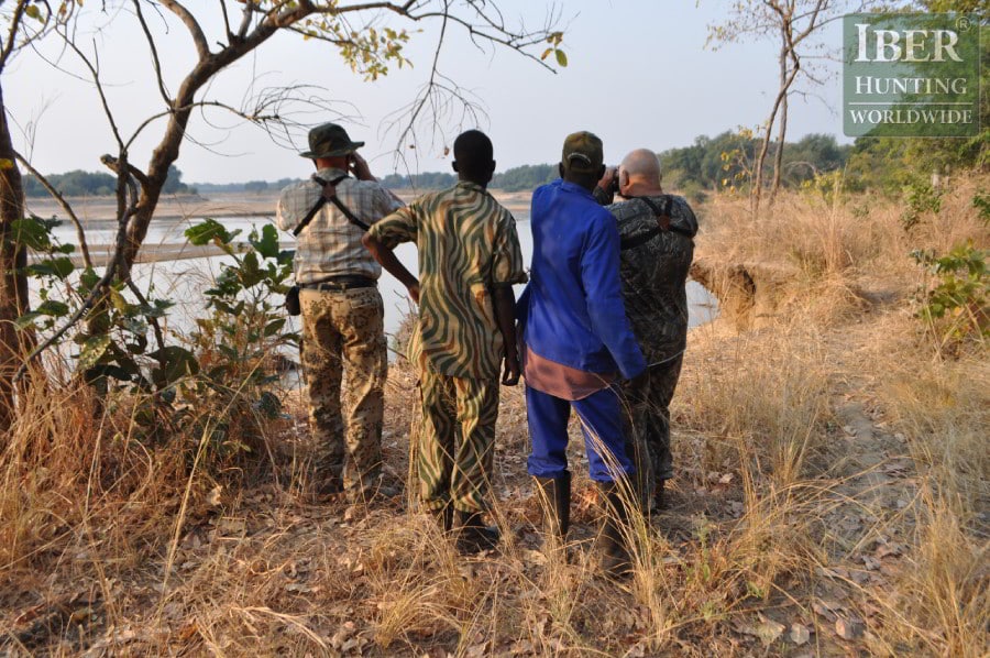 Zambia Gallery Iberhunting