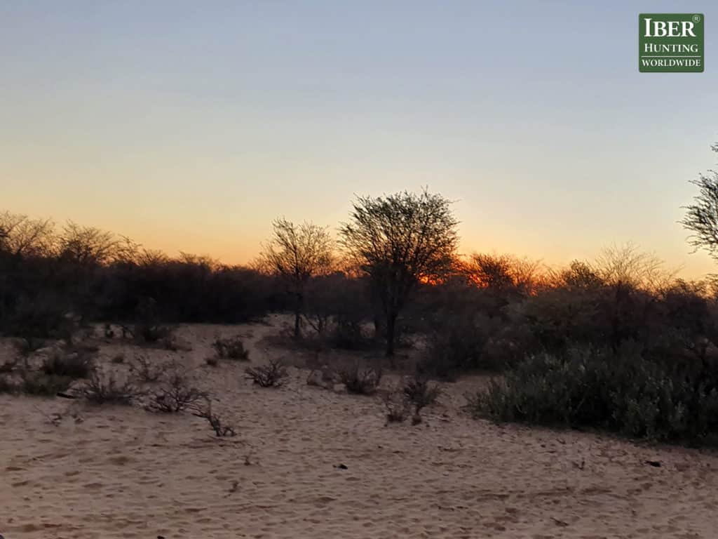 The best feeling when hunting in South Africa IBERHUNTING