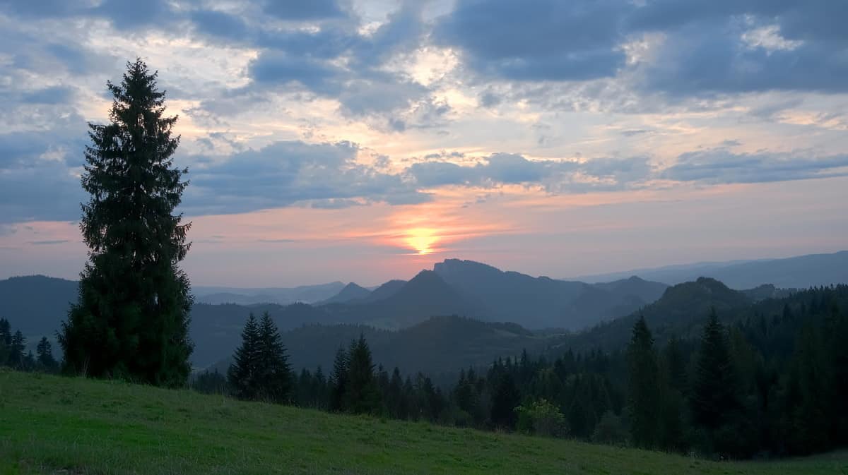 Landscape of Poland - Hunt in Poland