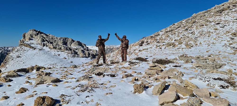 Looking for hunting in Turkey the Bezoar ibex