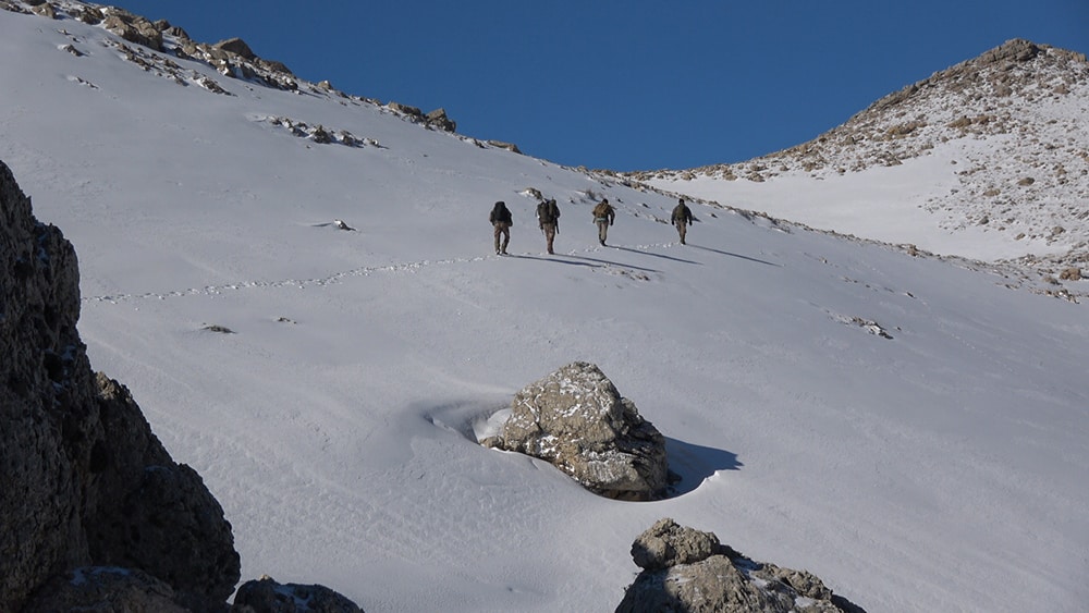 Looking for Bezoar ibex for hunting in Turkey