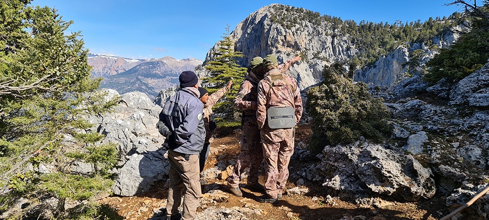 Looking for Bezoar ibex for hunting in Turkey