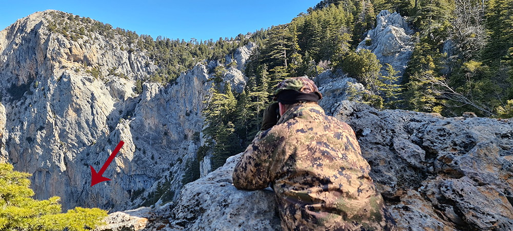 Looking for the bezoar ibex that fell on the ground