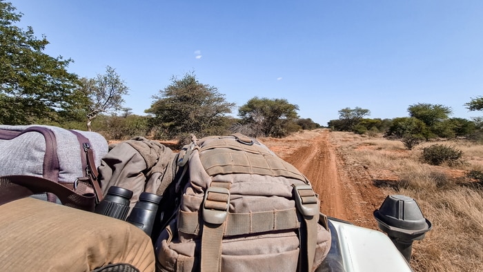 On the road looking for lion tracks