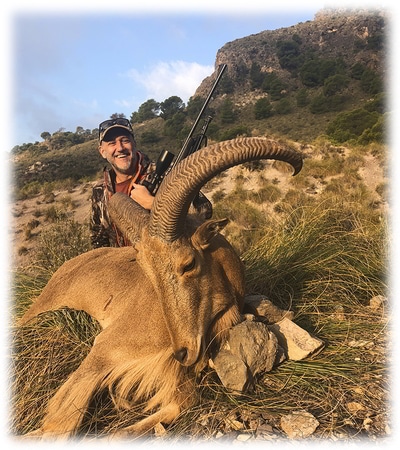 Aoudad sheep hunting program