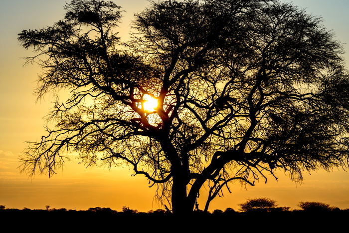 Sunset landscape to enjoy in your hunting in Namibia