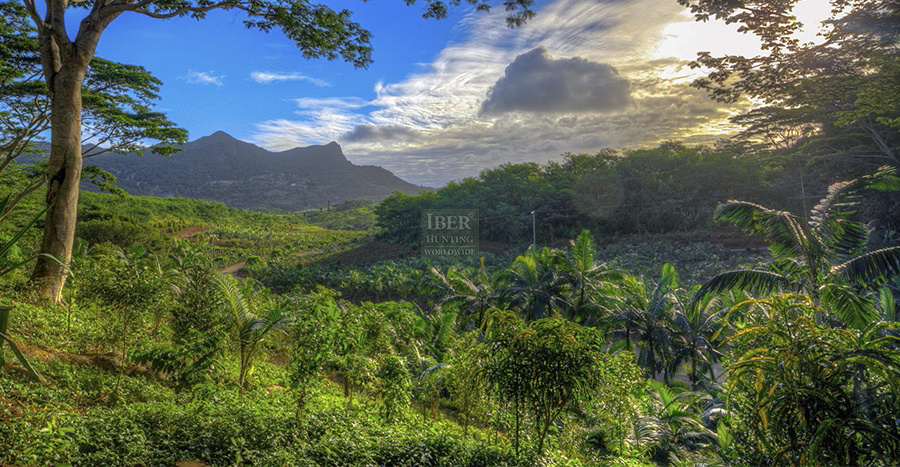 Hunting area of Mauritius island