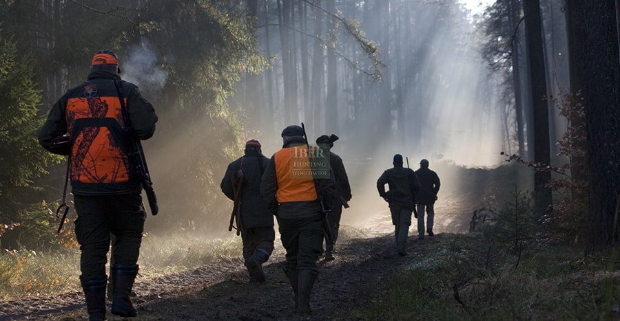Hunters in the hunting area in Poland