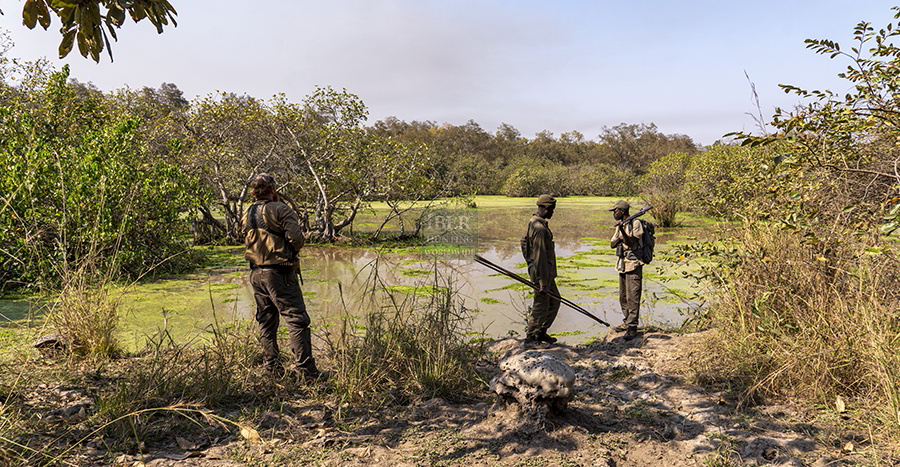 Hunters looking for animals in Cameroon