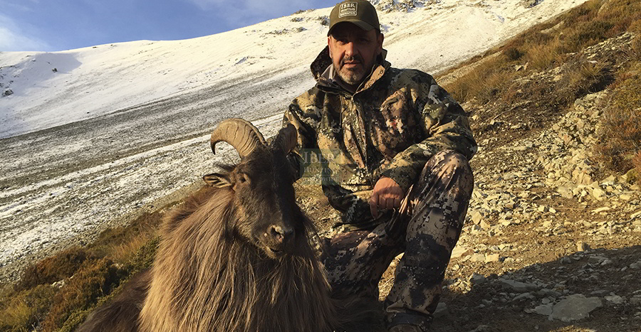 Hunting Himalayan Tahr New Zealand