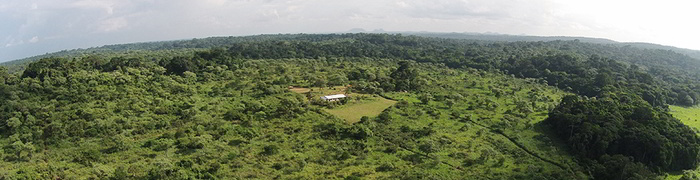 Rain forest hunting area in Cameroon for the bongo hunting