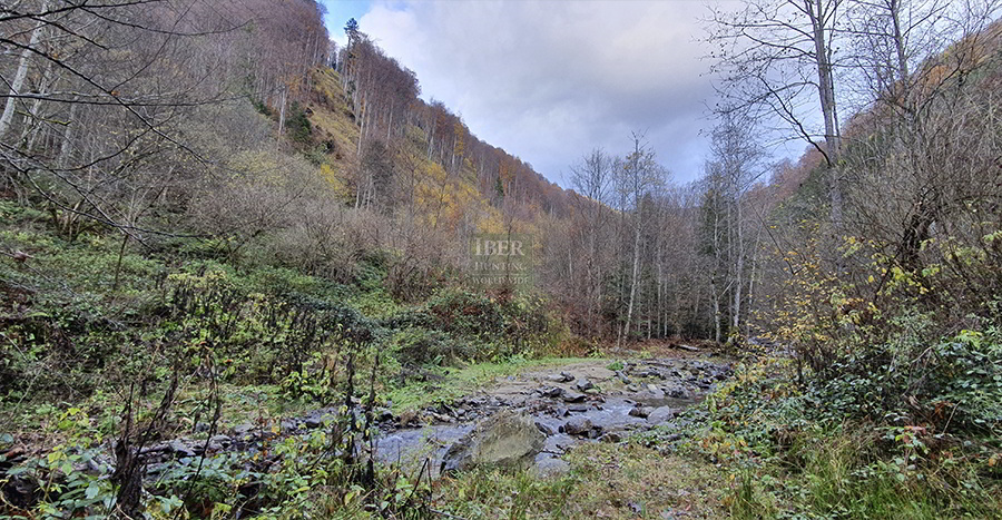 Landscape for the hunting are in Romania