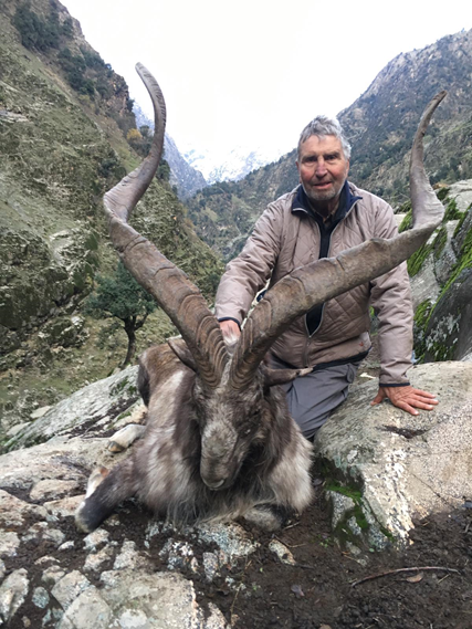 Markhor hunting in Pakistan