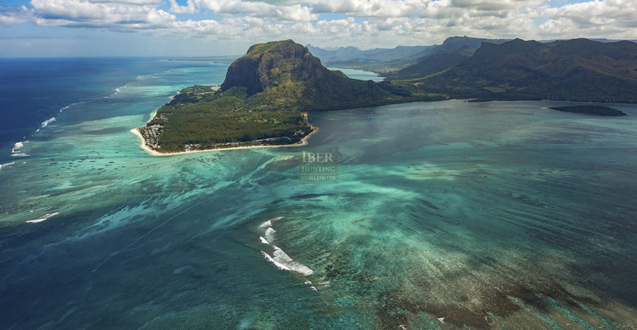 Hunting in Mauritius island