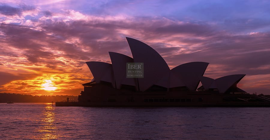Visit the Opera House in Sidney