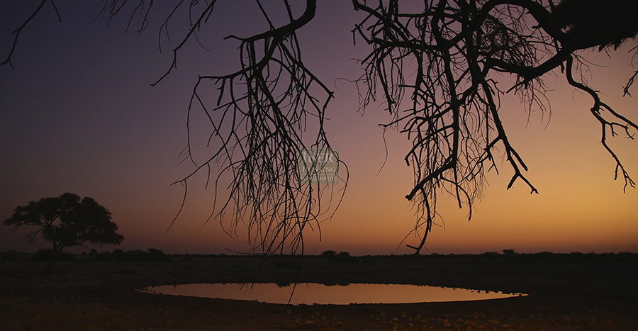 Enjoy the sunsets with your next hunt in Namibia.