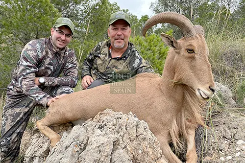 The prize of the draw is an aoudad sheep hunting trip, all included in Spain.