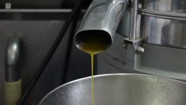 Refining the oil is a very important proccess to get the olive oil