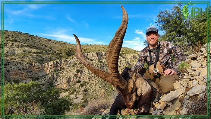 Hunter with Beceite ibex hunting trophy
