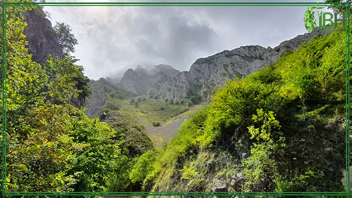 The hunting area for hunting Cantabrian chamois in Spain