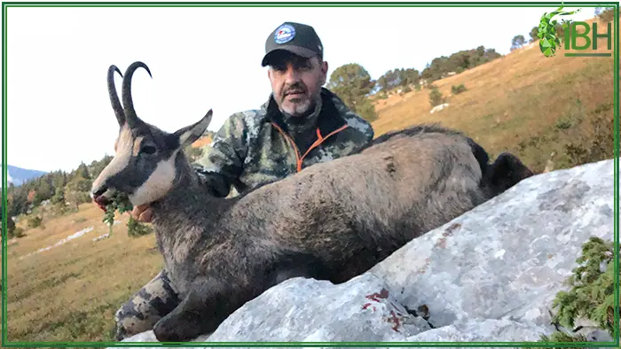 Antonio from IberHunting with his Chamois in France