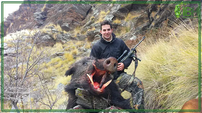 IberHunting's guide, Sergio and Spanish wild boar hunting trophy