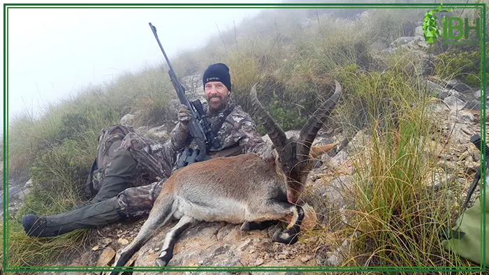 Southeastern ibex hunting trophy-Jimmy