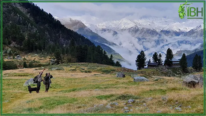 Landscape of the hunting are for hunting Carpathian chamois in Austria