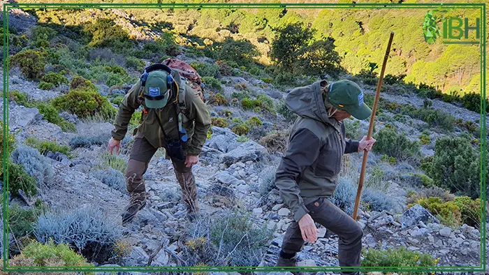 Hunters looking for Ronda ibex in the hunting area