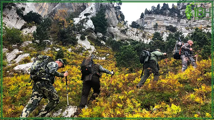 Hunters and guide climbing the mountain for hunting in France