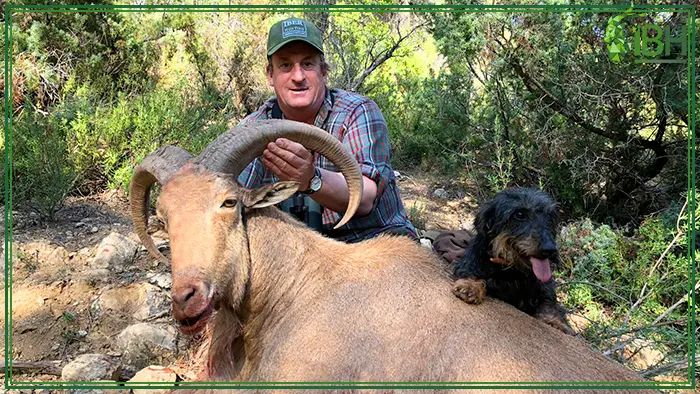 Richard and his aoudad sheep hunting trophy in Spain