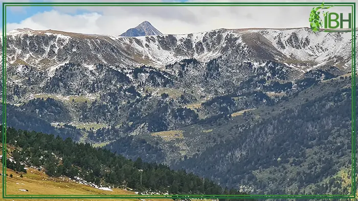 Hunting area for Pyrenean chamois hunt in Spain