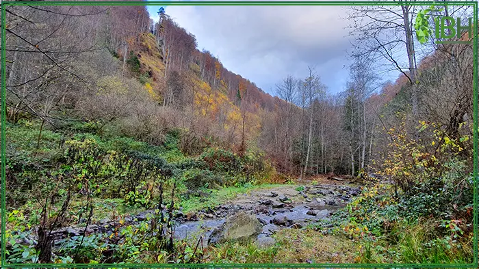 Views of the hunting area for hunting in Romania