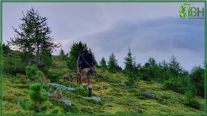 Hunter and dog for hunting in Austria