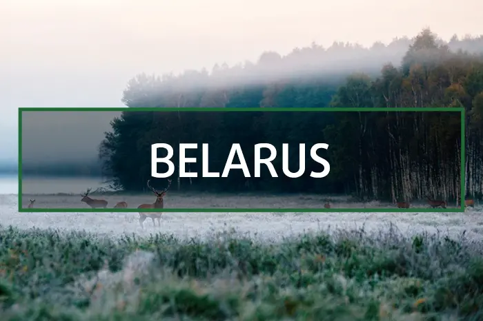 Hunting in Belarus Gallery