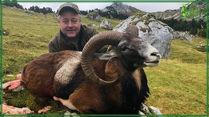 Hunter with his hunting mouflon in France