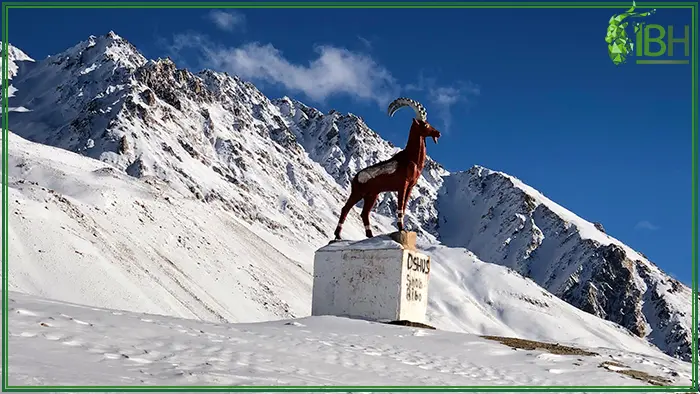 Statue of a Pamir ibex in Tajikistan with the mountains as background