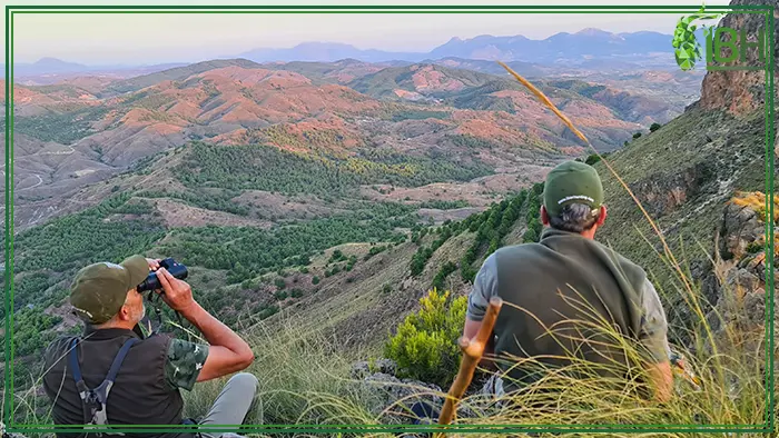 Hunters looking for Aoudad sheep in the hunting area of Spain