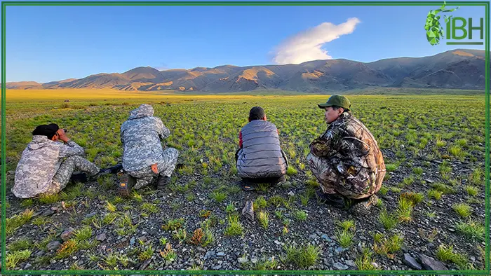 Hunters looking for ibex to hunt in Mongolia