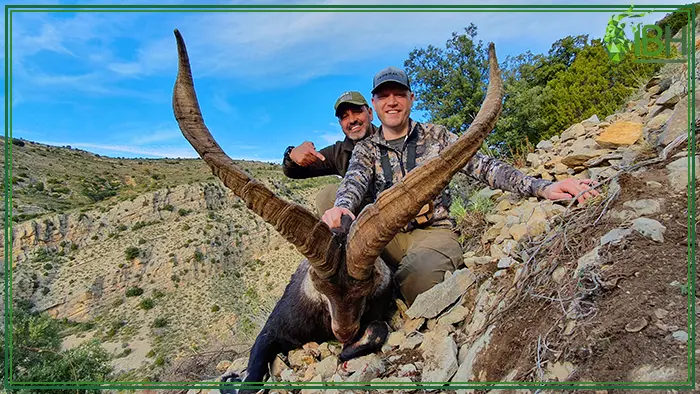 Nick Hofmann with his Beceite ibex trophy